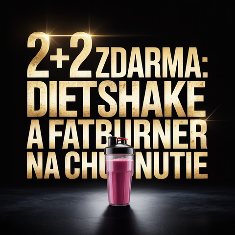 2x DIET SHAKE + 2x FATBURNER GRATIS