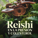 PROMOCIÓN 1+1 Pack GRATIS Reishi premium