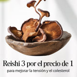 3 paquetes de Reishi premium por el precio de 1
