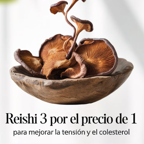3 paquetes de Reishi premium por el precio de 1
